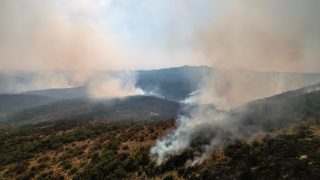 A Disaster in Greece: A Massive Forest Fire Recognized as the Largest Wildfire Ever Recorded in the EU